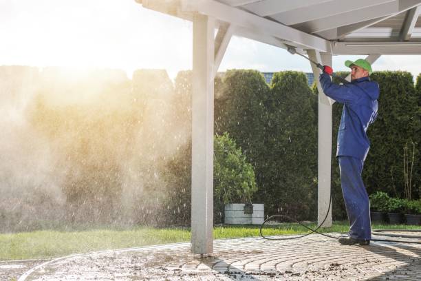 Best Animal Enclosure Cleaning  in Maple Heights, OH